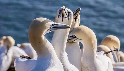 【2025最新】广佛高端私人茶室TOP10，品味与格调并存